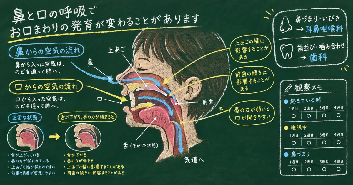 子供の口呼吸が歯並びに与える影響と、家庭でできる見分け方や対策